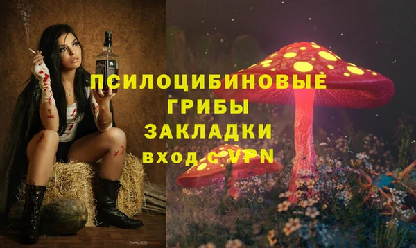 амф Белокуриха