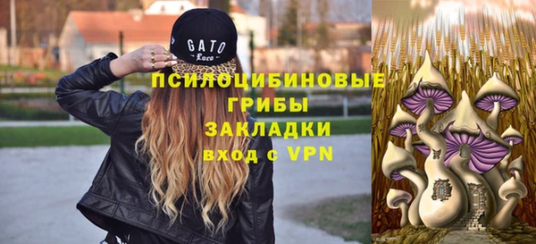 амф Белокуриха