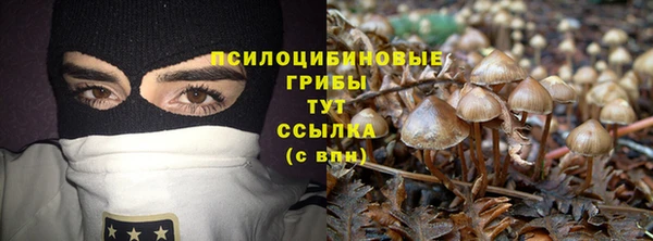 амф Белокуриха
