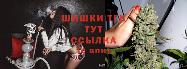 амф Белокуриха