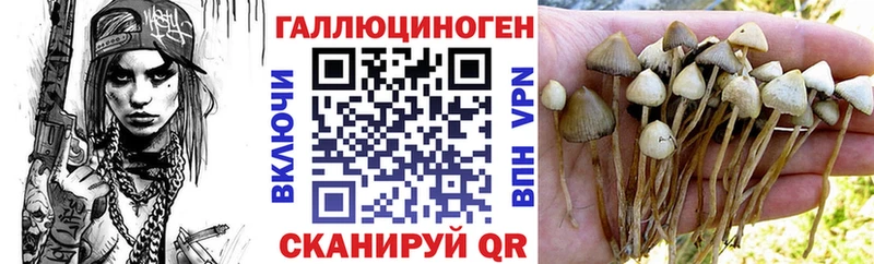 Галлюциногенные грибы Psilocybe  Буинск 